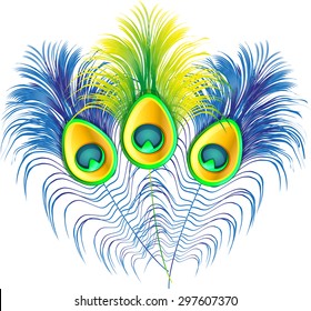 Vector colorful feather design. Peacock feathers on a white background. Vector illustration.