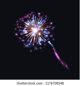 Vector Colorful Firework, Isolated on Dark Background Bright Glowing Illustration.