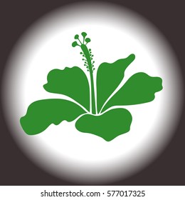 Vector colorful floral icon. Hand drawn hibiscus isolated, brown and green single decorative flower. Vector illustration.