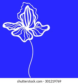 Vector colorful floral template. Background with iris flowers. Vector floral texture