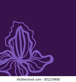 Vector colorful floral template. Background with iris flowers. Vector floral texture