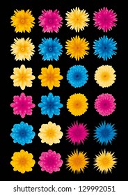 Vector colorful flowers