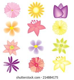 vector colorful flowers set on the white background
