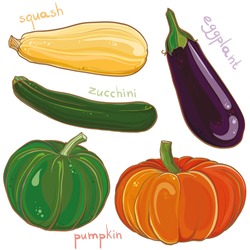 Vector Colorful Freehand Illustration Of Vegetables: Eggplant, Pumpkin, Squash And Zucchini. Design Set. Eps 10