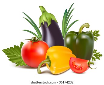 Vector. Colorful fresh group of vegetables.