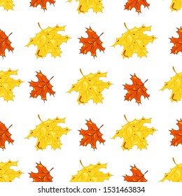 Vector colorful golden, red, orange leaves. Autumn maple leaf seamless pattern design isolated on white