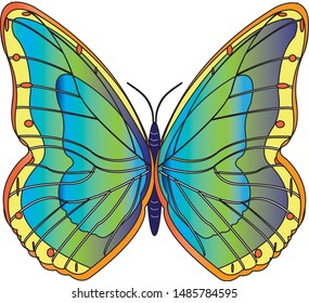 Vector of colorful gradient butterfly in shades of blue, green, yellow and purple.