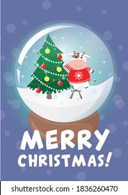 Vector colorful greeting postcard with text. Cute cartoon cow or bull, symbol of new 2021 year, with Christmas tree. Souvenir globe with snowflakes inside