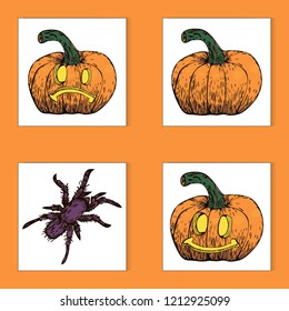 Vector colorful hand drawn Halloween sticker set of pumpkins and spider. Sketch and engraving style.
