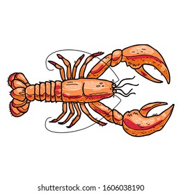 Vector colorful hand drawn lobster cartoon illustration. For food packaging, menu item, market label, sea, ocean, river design