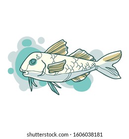 Vector colorful hand drawn red mullet fish cartoon illustration. Illustration for food packaging, market label, underwater design