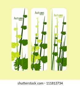 Vector colorful, hand drawn style autumn leaves background illustration