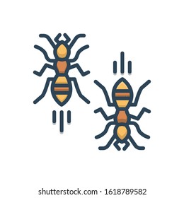 Vector colorful icon for ants
