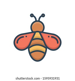 Vector colorful icon for bee