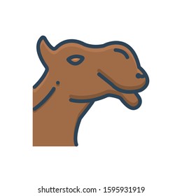 Vector colorful icon for camel