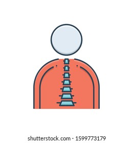 Vector colorful icon for chiropractic