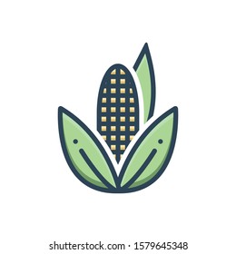 Vector colorful icon for corn