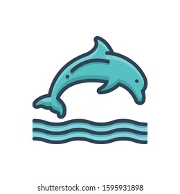 Vector colorful icon for dolphin