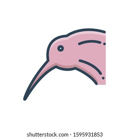 Vector colorful icon for kiwi