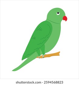 Vector colorful icon for parrot