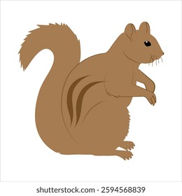 Vector colorful icon for squirrel