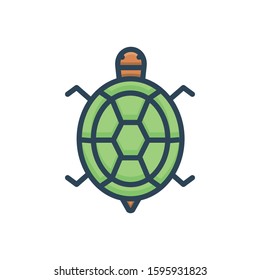Vector colorful icon for turtle