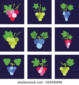 vector colorful icons of grapes