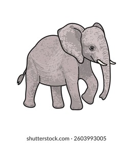 Vector Colorful Illustration of Baby Elephant Isolated on White Background