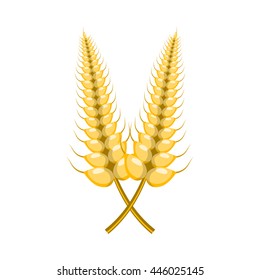 Vector colorful illustration of barley, cartoon style