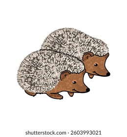 Vector Colorful Illustration of Couple of Hedgehog Isolated on White Background