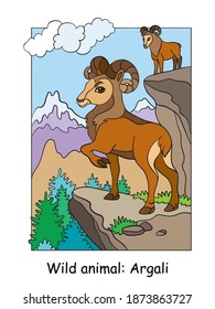 Vector colorful illustration with cute argali in mountain area. Cartoon contour illustration isolated on white background. Stock illustration for coloring book, preschool education, print and game.