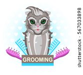 Vector colorful illustration of a cute cat with fashionable hairstyle for grooming shop