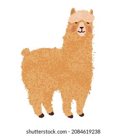 Vector colorful illustration of cute llama isolated on white background for invitation, greeting card, banners, t-shirt prints and posters