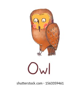 Vector colorful illustration of cute owl isolated on white background.  