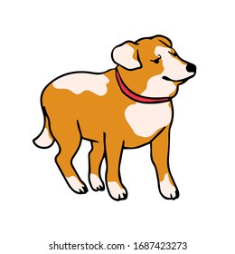 Vector colorful illustration of dog. Can be used for postcard, banner, t-shirt print, invitation, greeting card, poster