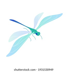 Vector colorful illustration of Dragonfly.