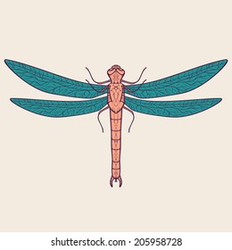 Vector colorful illustration of dragonfly
