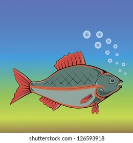 Vector Colorful Illustration with Fish for Your Design.