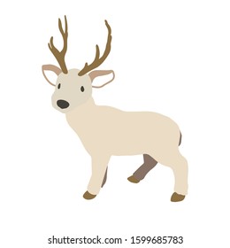 Vector colorful illustration of flat design style Deer. Winter vector image with animal as Christmas or New Year greeting card, poster, banner, promotional materials.