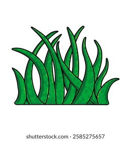 Vector Colorful Illustration of Green Grass Isolated on White Background
