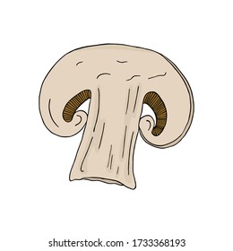 Vector colorful illustration of hand drawn champignon slice isolated on white background