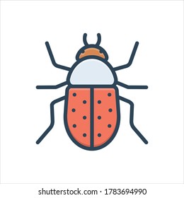 Vector colorful illustration icon for beetle