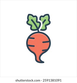 Vector colorful illustration icon for beetroot
