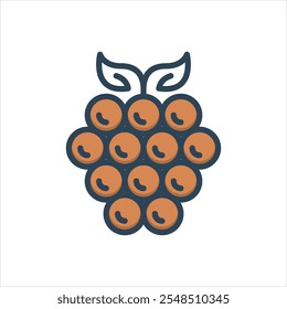 Vector colorful illustration icon for blackberry