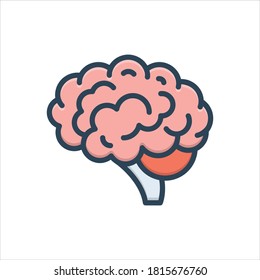 Icono de ilustración de color vectorial para cerebro