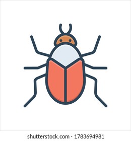 Vector colorful illustration icon for bug