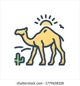 Vector colorful illustration icon for camel in desert with sun