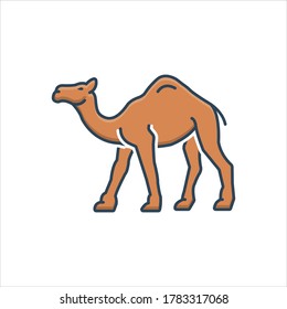Vector colorful illustration icon for camel