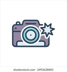 Vector colorful illustration icon for camera flash