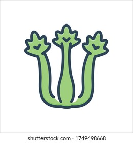 Vektorfarbiges Illustrationssymbol für Sellerie